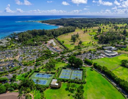 Turtle Bay