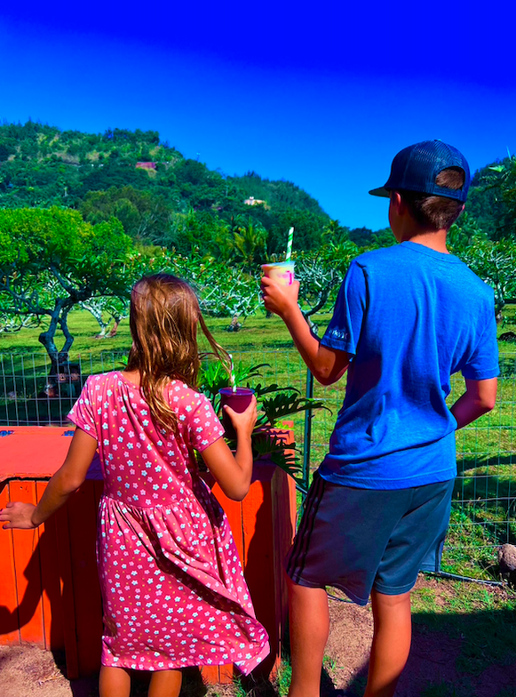 Smoothies from The Sunrise Shack on the North Shore of Oahu